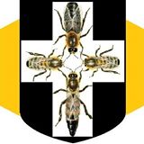 Avátar uživatele