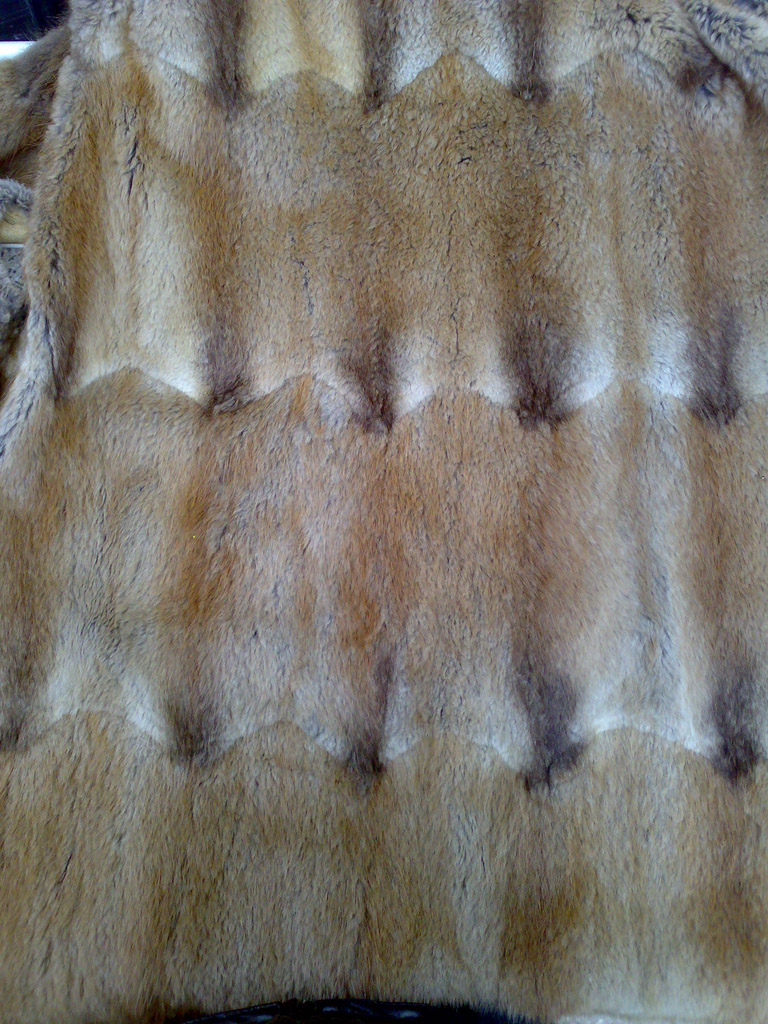 280420114378.jpg