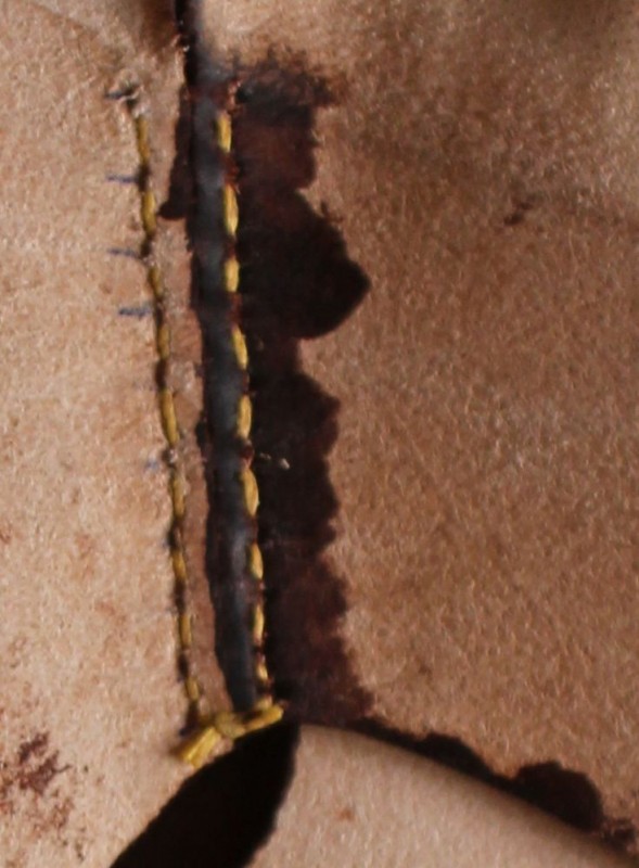 IMG_7592.jpg